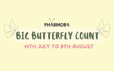 Big Butterfly Count Blog